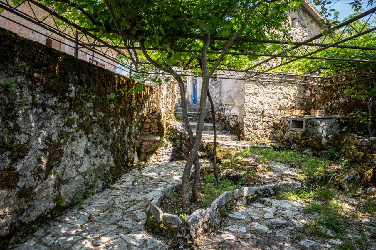 Guest House Gornji Ceklin Cetinje Exterior photo